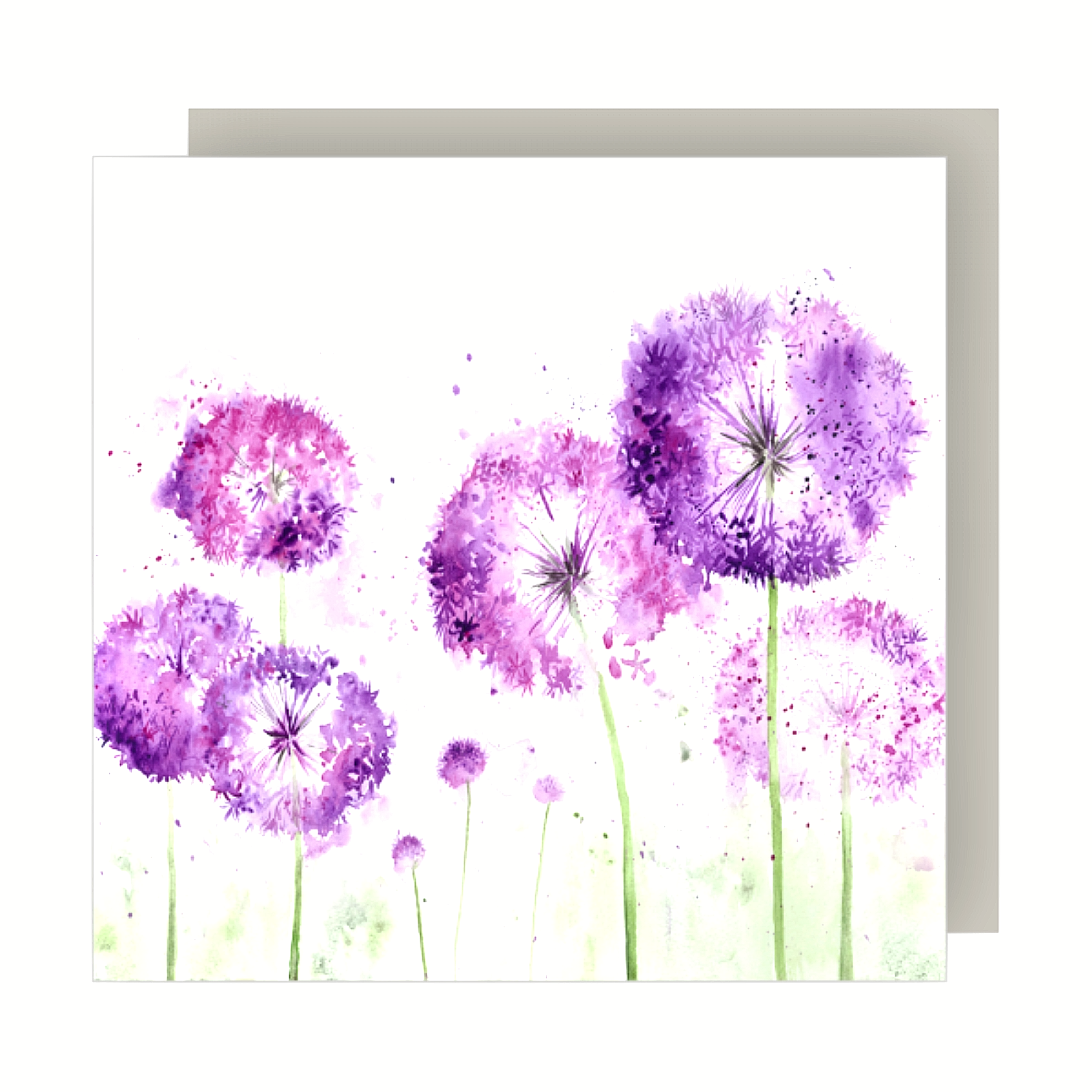 Alliums - Flowers Card Sarah Reilly Love Country Birthday Christmas Easter