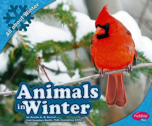 Animals in Winter (Pebble Plus: All About Winter)