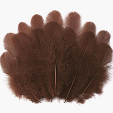 300Pcs Brown Feathers for Crafts - 3-5Inch Craft Feathers Bulk for Wedding Home