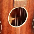 Vintage Late 30's/Early 40s Regal Hawaiian Acoustic Square Neck Lap Steel Guitar — photo 7