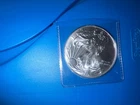 U.S. Mint 2020 American Silver Eagle $1 1 oz .999 Silver Business Uncertified