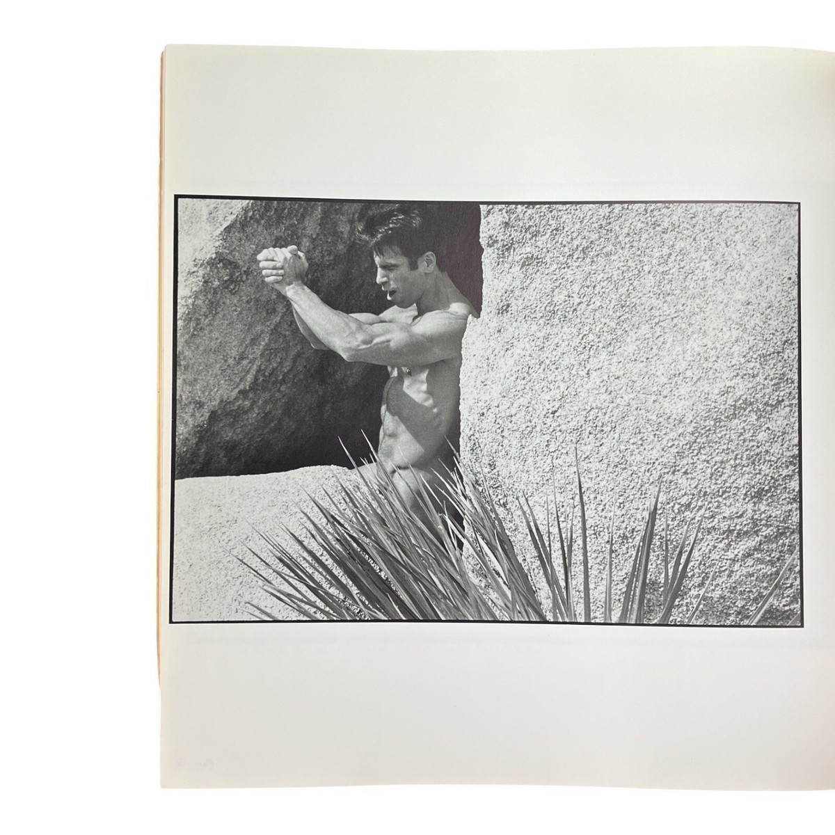 Tom Bianchi Out of the Studio Adult Male B/W Photos Paperback USA