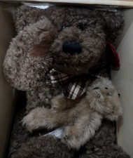 NEW The Teddy Bear 100th Anniversary - FREE Shipping  