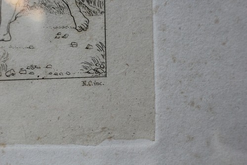 ANTICO QUADRO INCISIONE LITOGRAFIA OPERA Raffaello Sanzio Urb. Inv. N.C.Inc. 800 - Foto 10 di 12