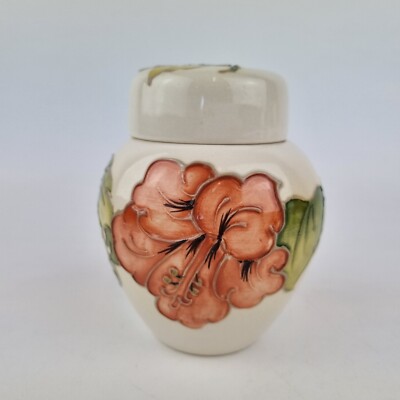 Moorcroft Keramik Ingwerglas Magnolie Hibiskusmuster 10,5 cm hoch