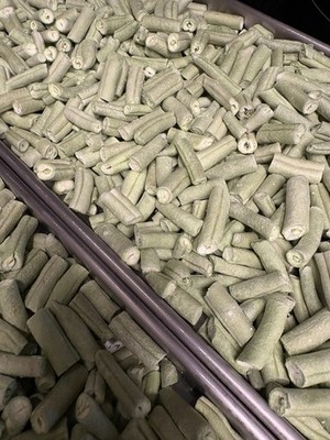 Freeze-Dried Cut Green Beans - 1 CUP package, long term storage