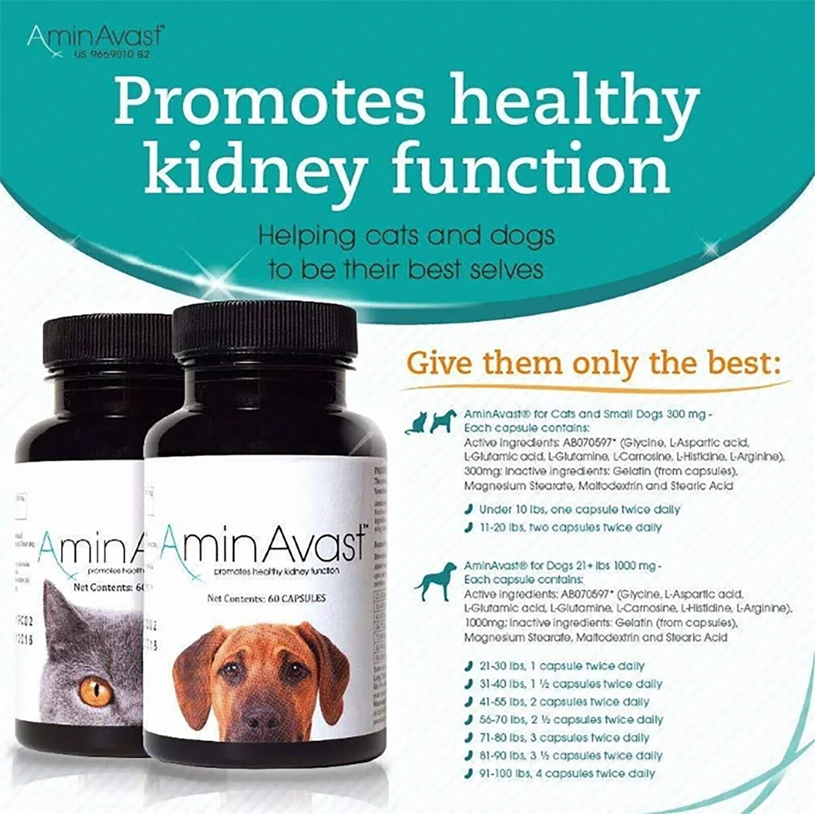 AminAvast Kidney Support Supplement for Dogs, 1000mg 60 Capsules Exp