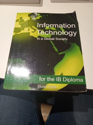 Information Technology In A Global Society