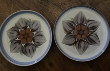 Denby Chatsworth Dinner Plates X2 26cm 10” Vintage Stoneware