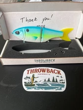 Throwback Baits - Metro Glide - Limited Edition Citrus Shad