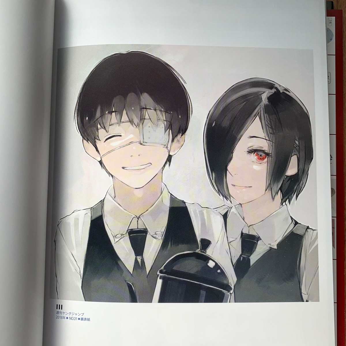 Tokyo Ghoul Illustration Art Book ZAKKI: re Sui Ishida Kaneki