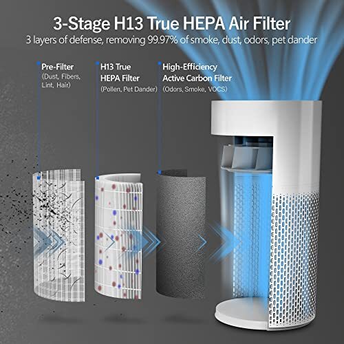 Air Purifiers for Home Large Room with Air Quality Sensor, Covers Up to 1640 - Picture 4 of 7