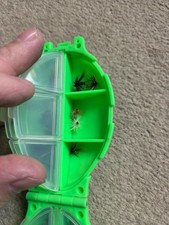 Schildkröten Angelgerätebox 12 Fächer mit Auswahl gebrauchter Fliegen