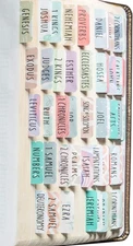 DiverseBee Laminated Bible Tabs (Large Print, Easy to Read), Large, Uniform 