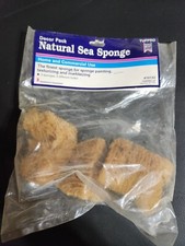 Natural Sea Sponges
