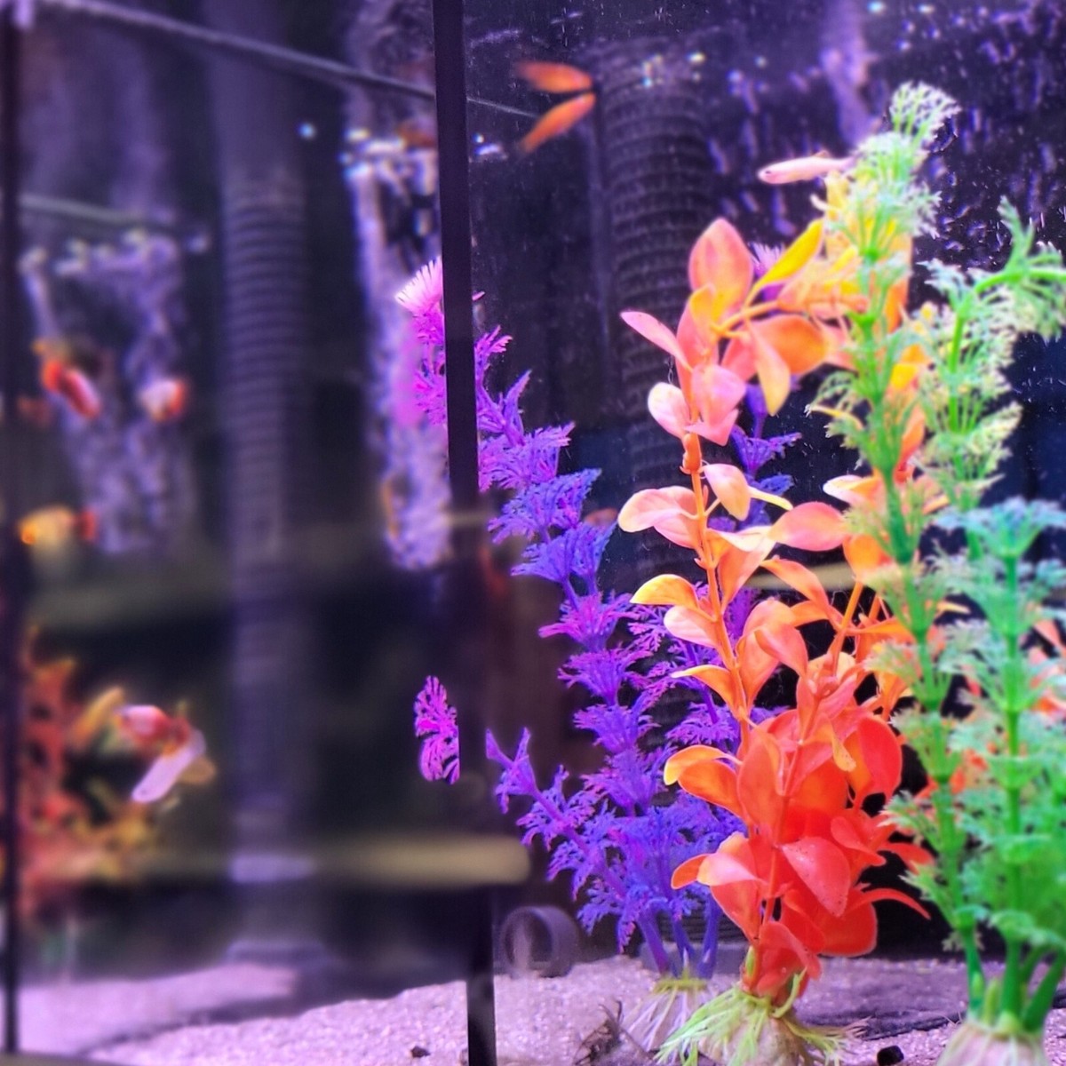DIGIFLEX 10-Pack Artificial Aquarium Plants - Assorted Colors & Shapes - Fish Tank Decor