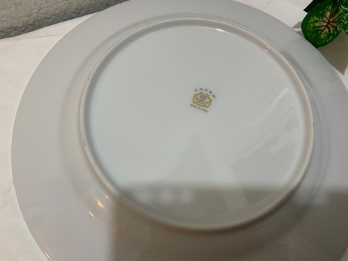 Diamond China CHARM PATTERN 12.25" Platter Made In Japan G15 - Picture 5 of 10