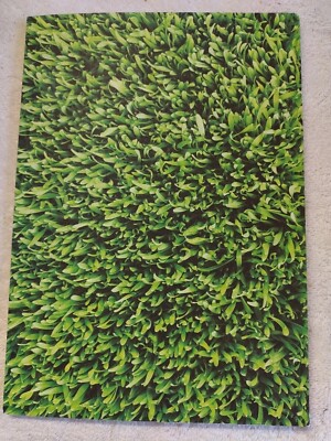 Jessica Stockholder   Grab Grassy This Moment Your I s (2011) Contemporary Art