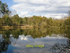Photo 6x4 The Fishpond Chobham Common A shot taken from near the overgrow c2012