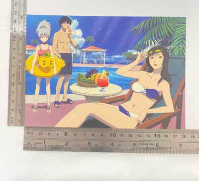 Yin Hei Misaki DARKER THAN BLACK Limited Postcard Kadokawa Summer
