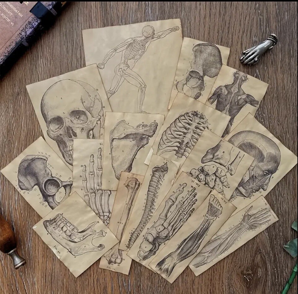 Foto 1 di 6
