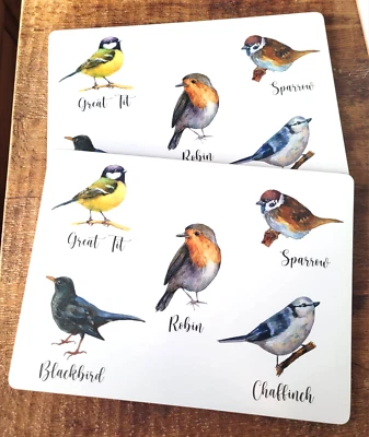 2 x Große Tischset Vögel 40x30 cm Singvögel Amsel Meise Kork Abwaschbar Placemat - Bild 1 von 4