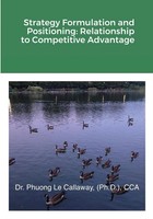 Phuong Callaway | Strategy Formulation And Positioning | Taschenbuch | Englisch