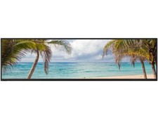 NEC Display Solutions MultiSync BT421 Black 42" 8ms 1920 x 480 1.07 Billion Colo