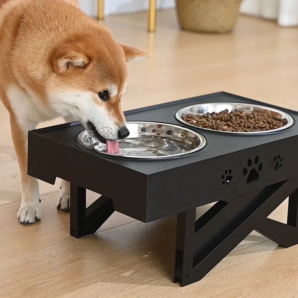 Elevated dog bowls sales for giant breeds