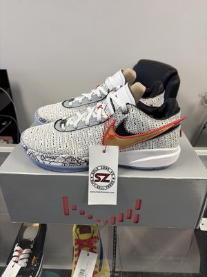 Nike LeBron XX  The Debut  Size 11.5 DJ5423-100