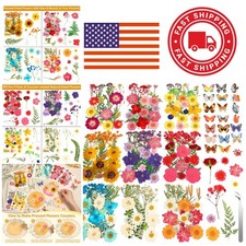 Pressed Dried Flowers Set 235 Pcs Real Natural for Resin Crafts and Jewelry