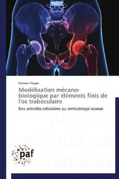Romain Rieger | ModéLisation MéCano-Biologique Par éLéMents Finis De L'os...-image