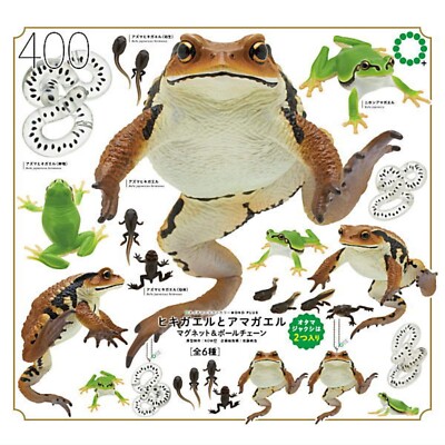 MONO PLUS ''Toad & Tree frog'' Magnet & Chain Capsule Toy 6 Types Comp Set Gacha