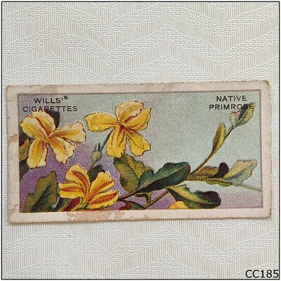 Wills Australian Wild Flowers #36 Native Primrose Cigarette Card (A) (CC185)