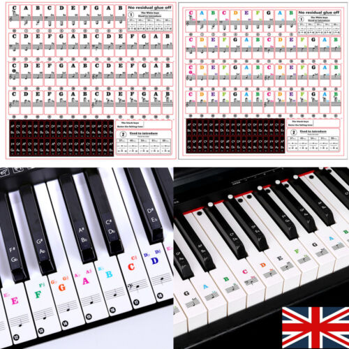 Piano Stickers Keyboard Key Note Removable Note Labels for Kids Beginners DIY UK - Afbeelding 1 van 17