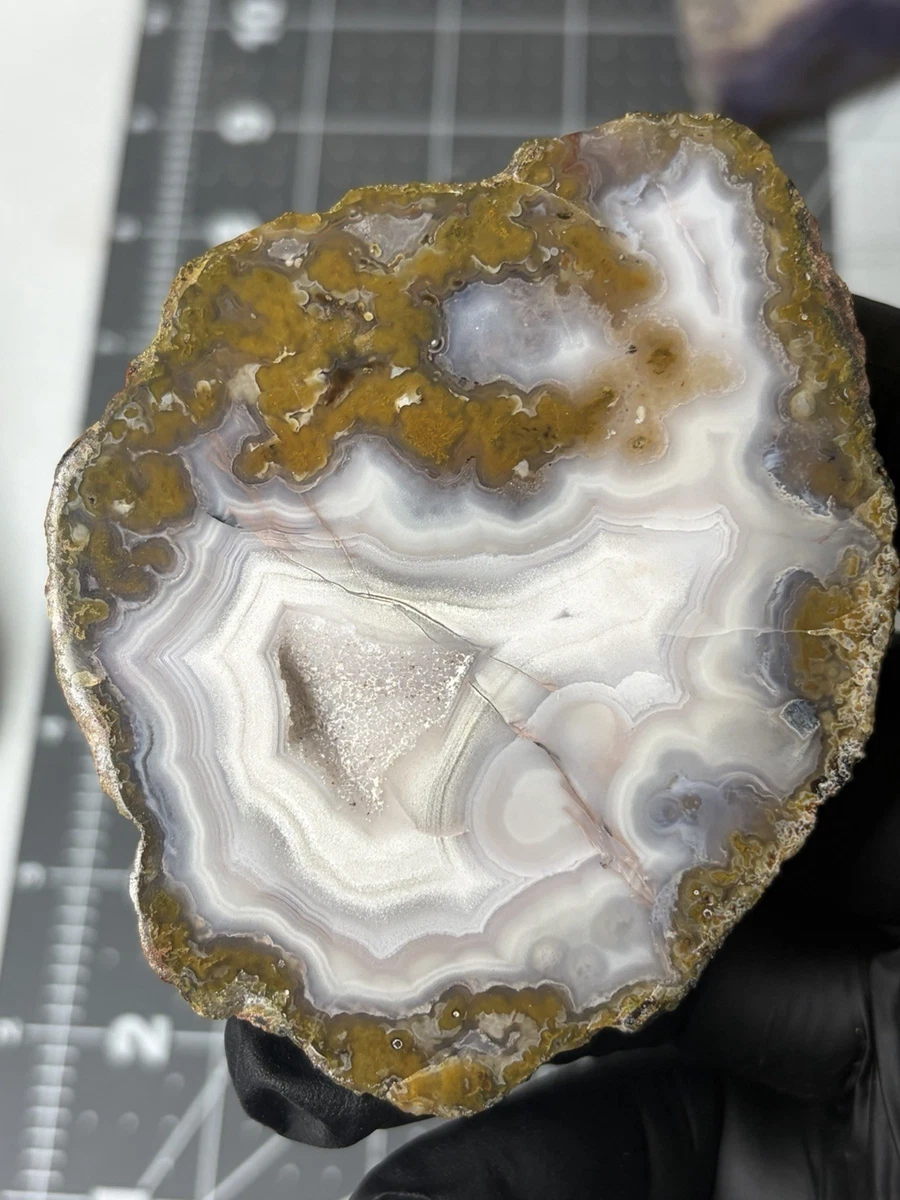 Laguna Agate for sale | eBay