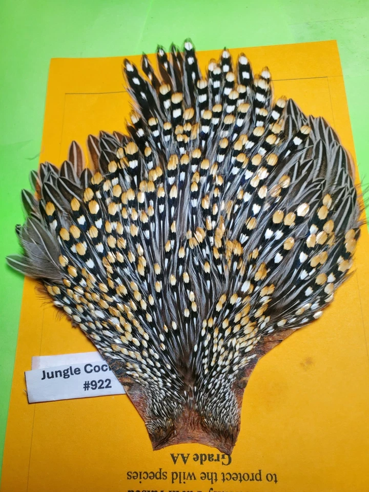 Jungle Cock Cape  AA 922   USA Only  - Image 2 of 4