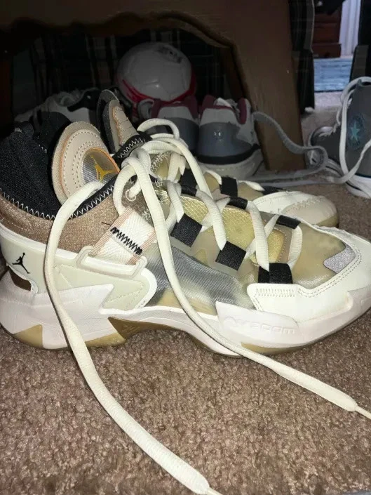 Jordan Why Not Zer0.5 PF Family for Sale | Authenticity Guaranteed