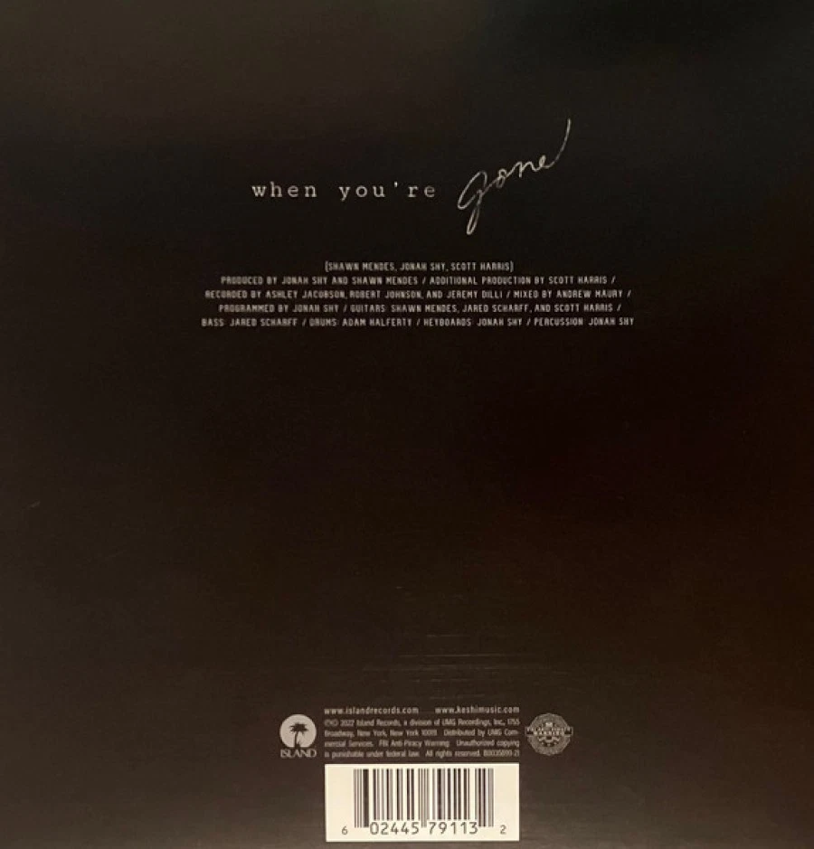 Shawn Mendes = When You're Gone = VINYL 7" SINGLE = POP FOLK R&B BALLADE - Bild 2 von 3