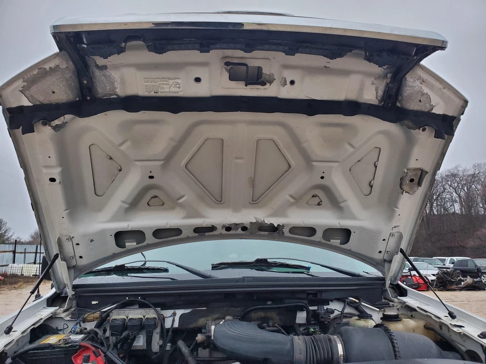 Capó (blanco)(sin rejilla)(nuevo estilo)(pintura pelada) Ford F150 2004-2008 Foto 2 de 4