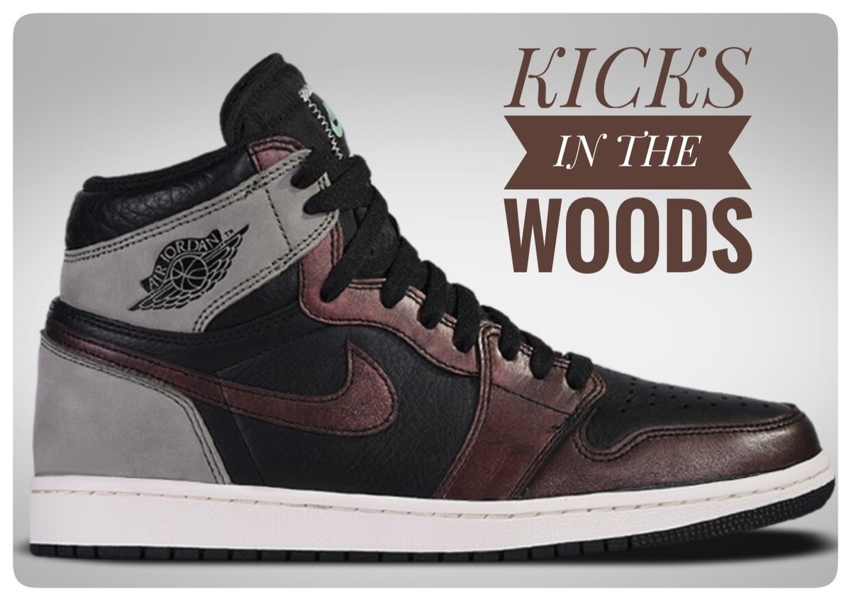 Nike Air Jordan 1 Retro High OG Patina Rust Rost Grau 40,5 42 43