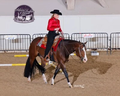 + Heckverlängerung 1 Pfund neu von KATHY'S TAILS Gratis Tasche AQHA NSBA APHA PtHA FEI - Bild 1 von 4