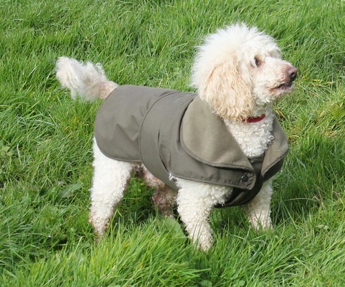ABRIGO DE PERRO DARTMOOR con PROTECTOR DE PECHO - HECHO EN EL REINO UNIDO - Imagen 11 de 17