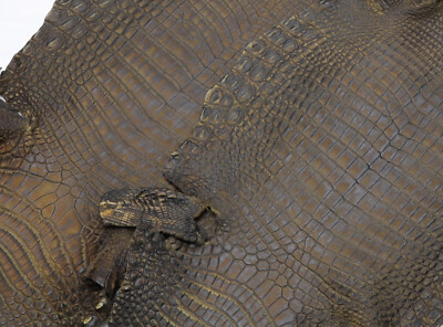 Crocodile Leather Antique Saddle Color (SW)