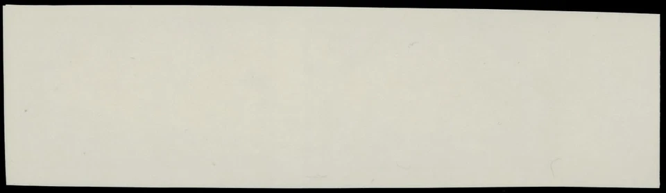 1996 USA, YEAR OF THE RAT, 32C MULTI, LEFT MARGIN HORIZ IMPERF PAIR NH SC.#3060a - Image 2 of 2