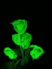 5 SOLAR ROSES  5 color Changing, bendable, color changing roses in one — photo 3