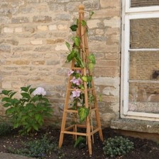 Image of Wooden Garden Obelisk Pine 1.5m Outdoor Climbing Plant Support Trellis Frame