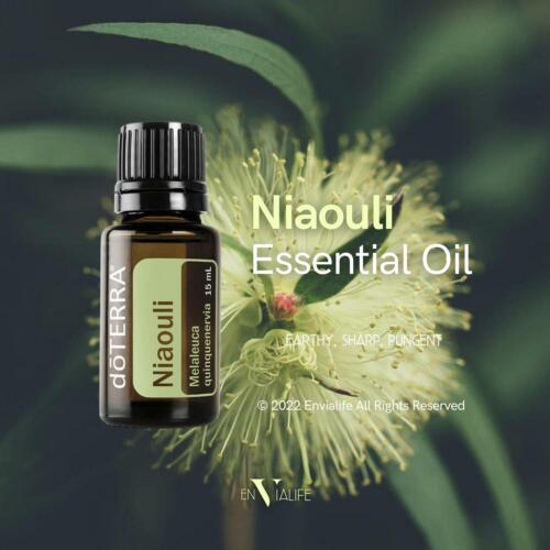 dōTERRA Essential Oils 🌈Blends Touch New 📦 Free Post AU Stock Diffuser Aroma - Picture 187 of 519