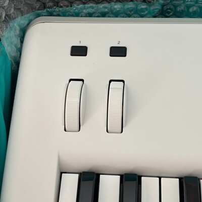 Korg Kross 2 SC 61-Key Keyboard Synthesizer Soft Case and Adapter