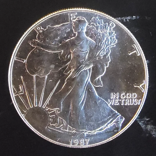 1987 American Eagle Toned Walking Liberty Bullion Vtg-0.999 Silver 1 Oz Coin 1u